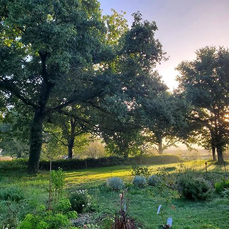 La Villauvert - Cottage Saint-Martin-sur-Oust エクステリア 写真